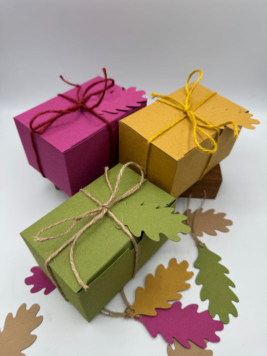 WOODLAND Gift Box & Tag - Large | Size: 12.5 x 8 x 7cm - (Pack of 5 Boxes)