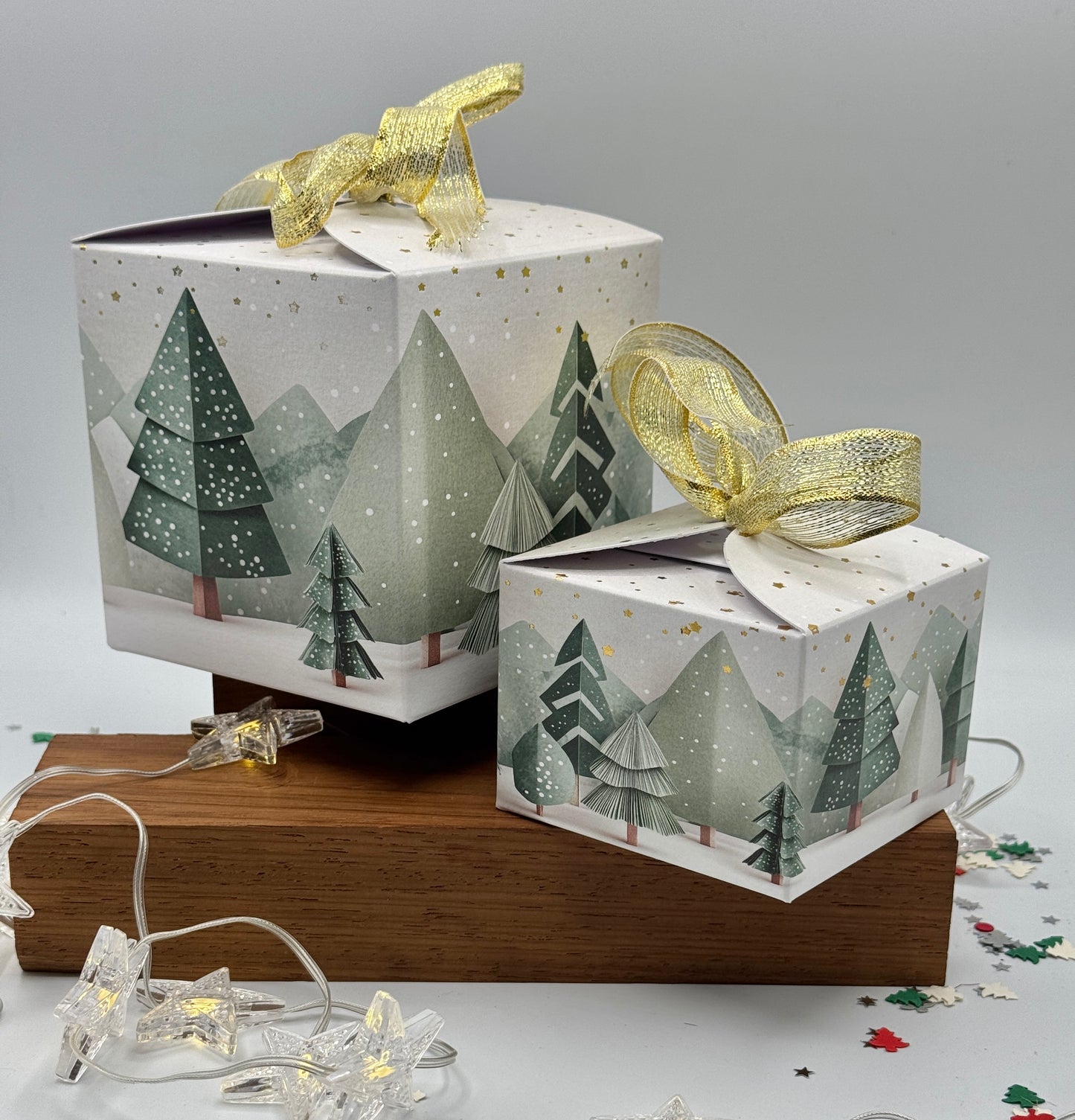 'WINTER FOREST' Tie Top Gift Boxes - Set of 6 boxes -  Includes metallic ribbon