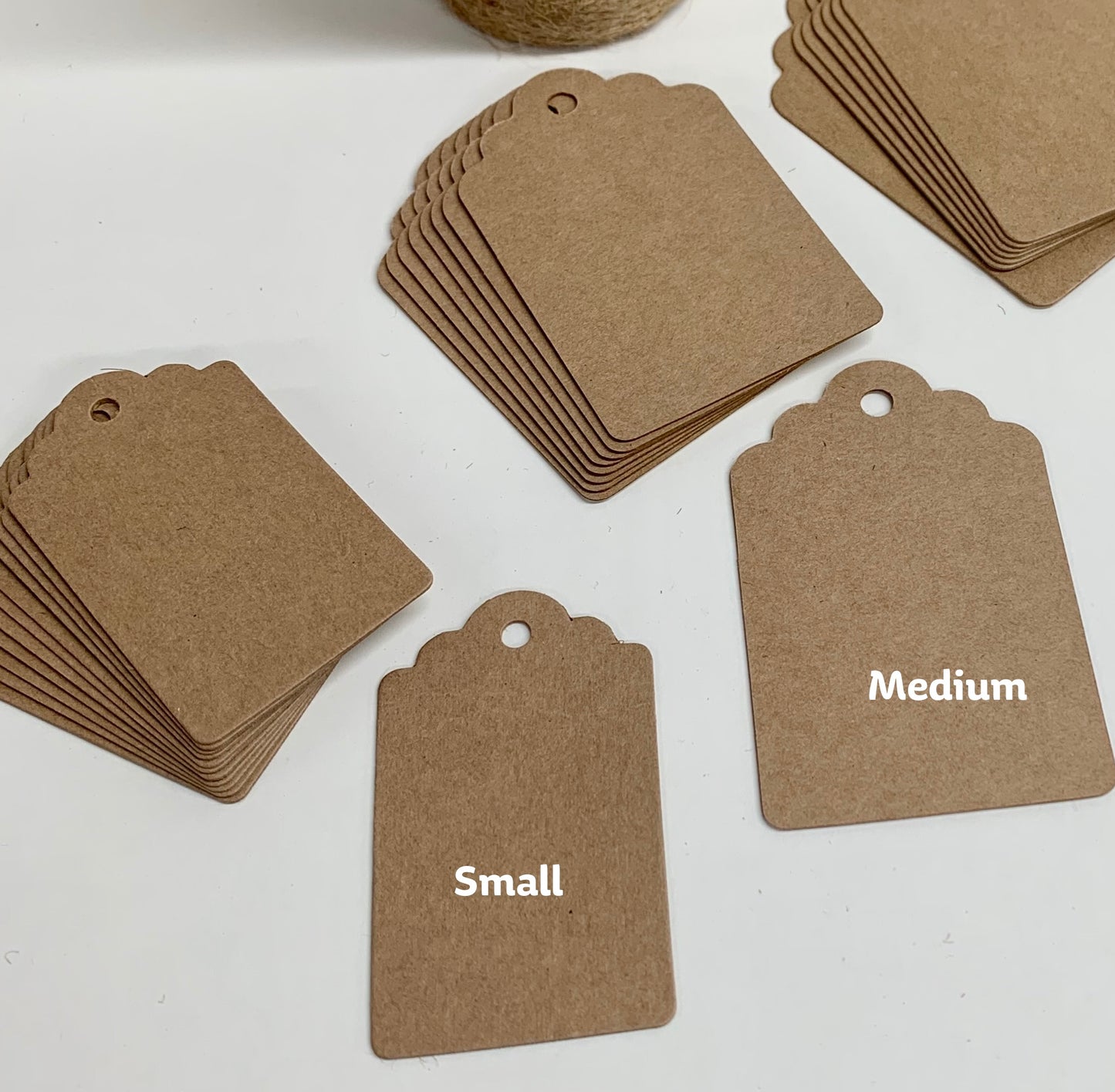 SCALLOP TOP Gift/Product Tags. Size 2: Medium / 8  different Colour options